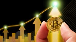 Bitcoin Jadi Aset Global Ke-8 Terbesar, Era Baru Investasi Digital